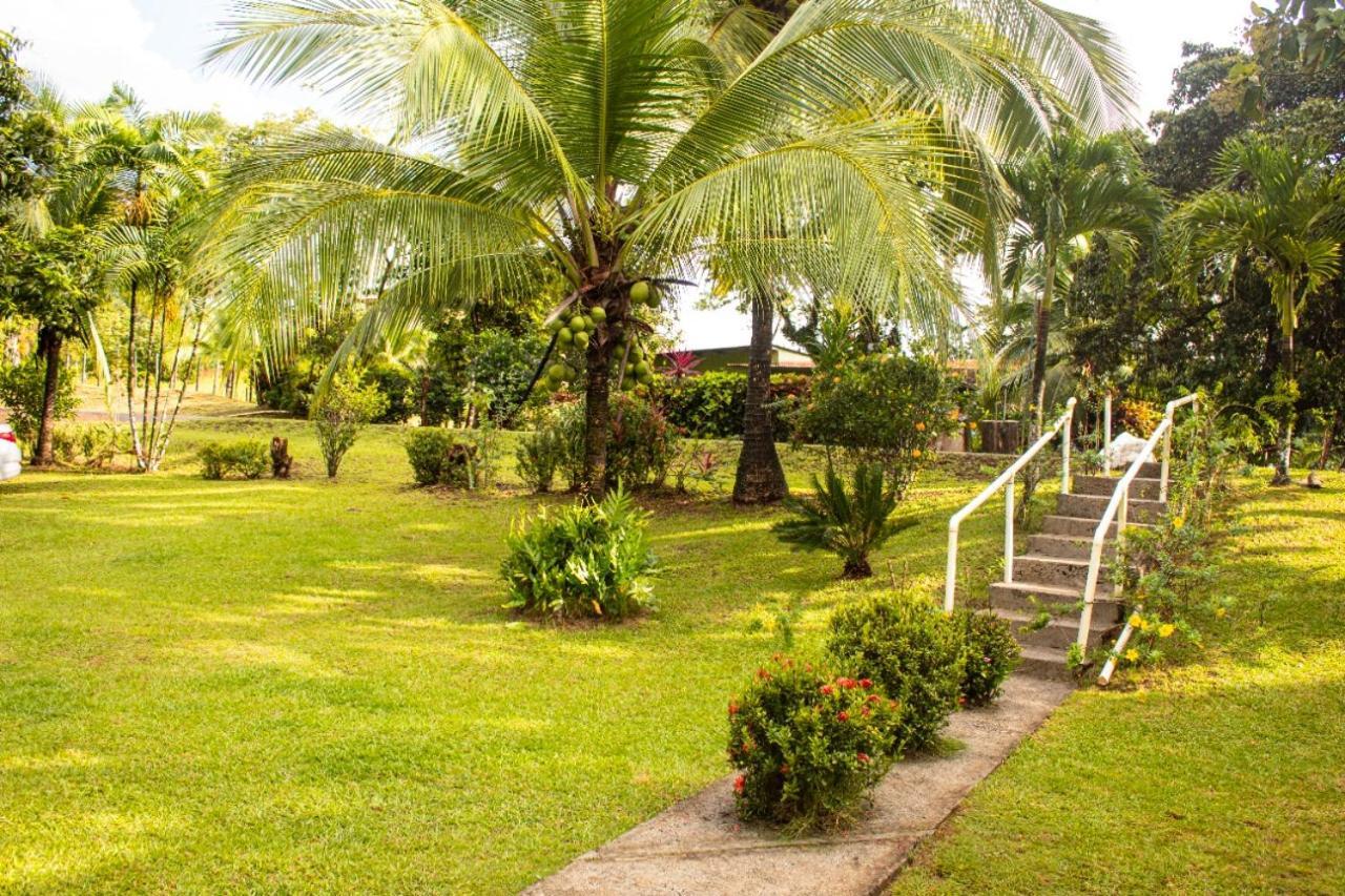 Hostal Y Restaurante Los Tecales La Coca Экстерьер фото